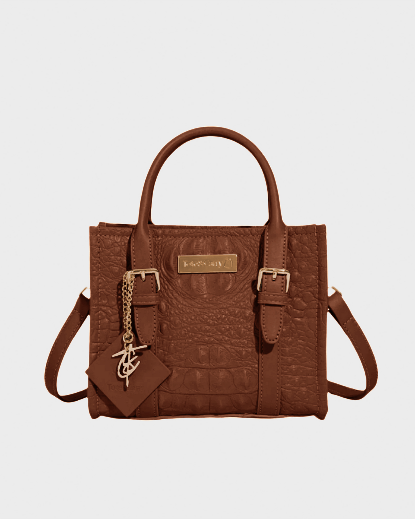Apollo 2 Mini Tote Bag in Chocolate